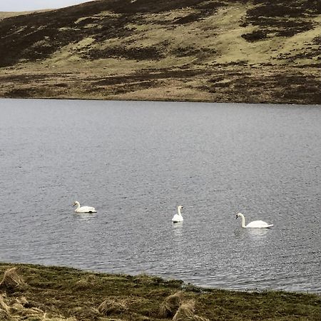 Scalloway Caravan Park Екстер'єр фото